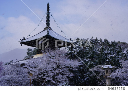 Kiyoryoji Temple Saga Shakado, Kyoto 64637258