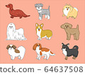 Small dogs 64637508