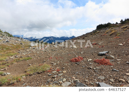 Trail in the park Mount Rainier in the autumn Trail in the park Mount Rainier in the autumn 64637527