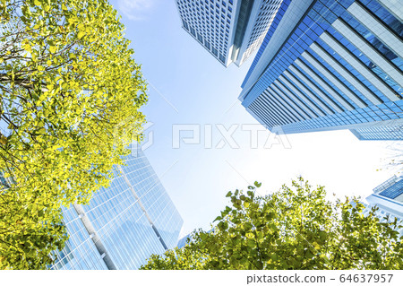 Landscape of the office town looking up at a skyscraper 64637957