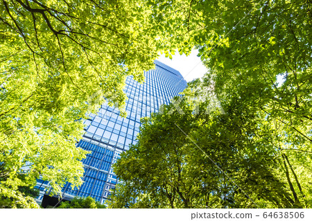 看摩天大樓的辦公室鎮的風景 64638506