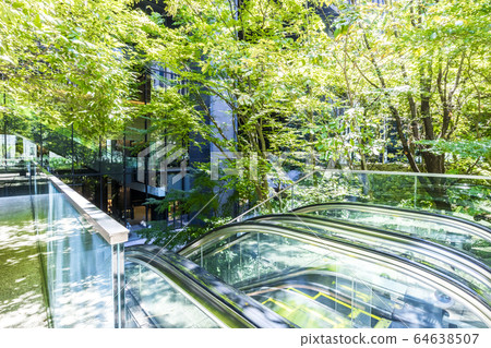 一座綠色辦公樓的入口 64638507