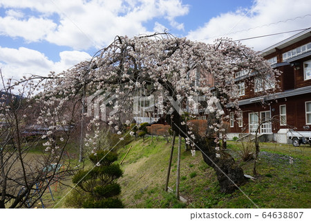 櫻花森岡橋小學 64638807