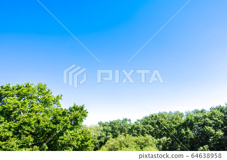 Landscape with green and blue sky 64638958