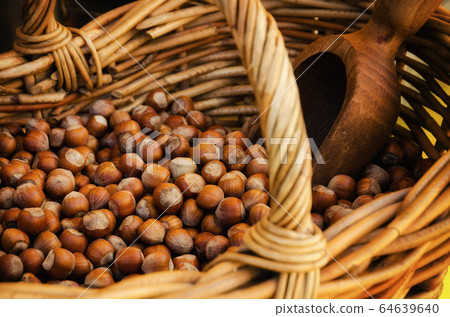 Tonda Gentile di Langa, hazelnut of Piedmont Tonda Gentile di Langa, hazelnut of Piedmont 64639640