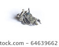 Dust, Fluff, Remnant of clothes on laundry after removing from clothing dryer on white background, Laundry machine cleaning concept, Close up and macro shot 64639662