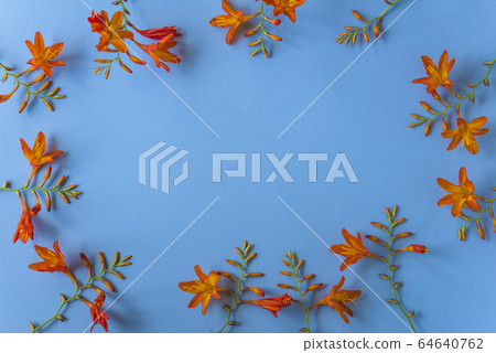 Beautiful floral background. Beautiful floral background. 64640762