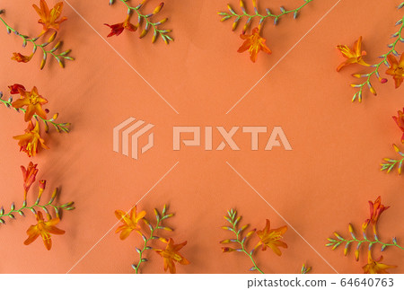 Beautiful floral frame. Orange flowers on orange background Beautiful floral frame. Orange flowers on orange background 64640763