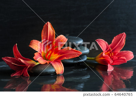 Body care and spa composition. Red lilies and black massage stones Body care and spa composition. Red lilies and black massage stones 64640765