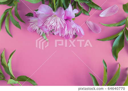 Floral background. Pink peony flower and leaves Floral background. Pink peony flower and leaves 64640770