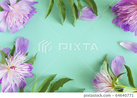 Beautiful floral background with frame of pink 64640771