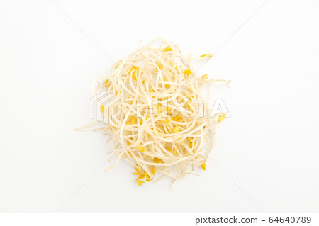 豆芽 豆芽 64640789