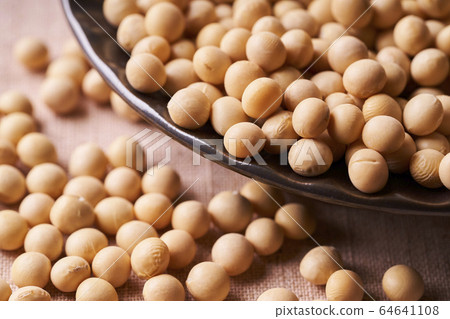 大豆從黑版中溢出 大豆從黑版中溢出 64641108