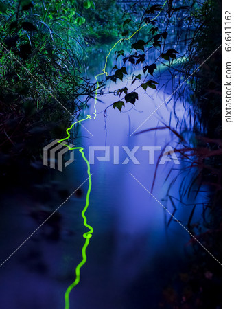 源氏螢火蟲的飛行和溪流的奇妙風光。這是長時間曝光而沒有構圖的工作。珍貴的圖像 64641162