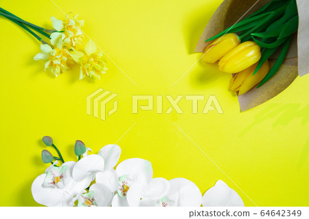 Monochrome stylish composition in yellow color. Top view, flat lay. Monochrome stylish composition in yellow color. Top view, flat lay. 64642349