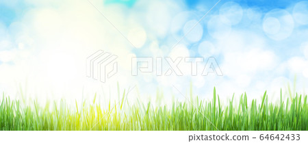Abstract summer grass field and sky wide backdrop Abstract summer grass field and sky wide backdrop 64642433