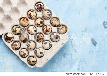 Quail eggs pack 64642437