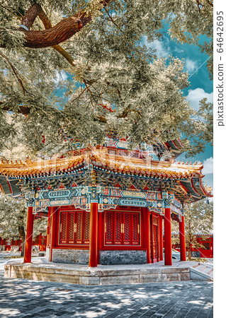 Beautiful View of Yonghegong Lama Temple.Beijing. 64642695