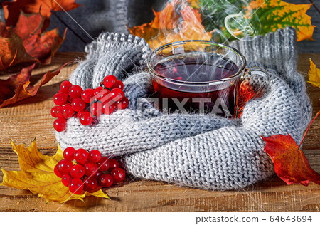 Black tea with a viburnum Black tea with a viburnum 64643694