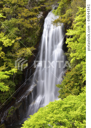 Arataki fresh greenery (Kumano City, Mie Prefecture) 64644341