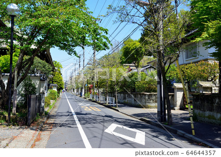 小牧戶前前站周邊居民區的山茱tree林蔭路 64644357