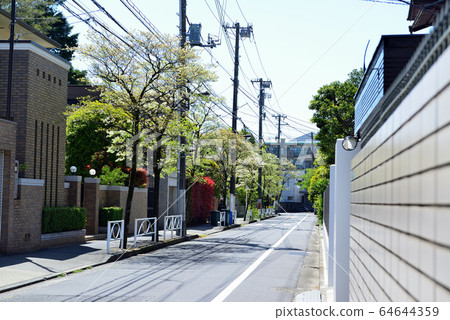 小牧戶前前站周邊居民區的山茱tree林蔭路 小牧戶前前站周邊居民區的山茱tree林蔭路 64644359