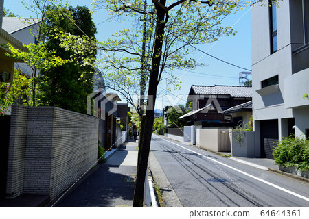 Dogwood tree-lined road in a residential area around Komaba Todaimae Station 64644361