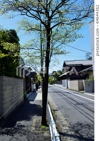 小牧戶前前站周邊居民區的山茱tree林蔭路 64644362