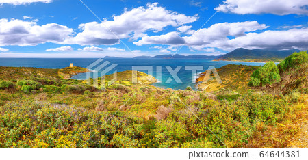 Panoramic view of Piscinni bay with turquoise sea 64644381