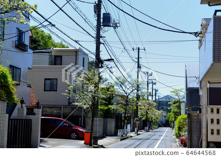 Dogwood tree-lined road in a residential area around Komaba Todaimae Station Dogwood tree-lined road in a residential area around Komaba Todaimae Station 64644568