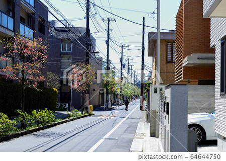 Dogwood tree-lined road in a residential area around Komaba Todaimae Station 64644750