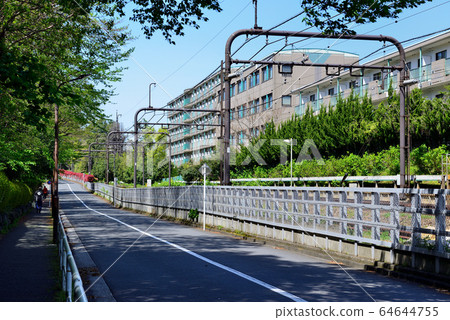 小牧戶前前站周邊居民區的山茱tree林蔭路 小牧戶前前站周邊居民區的山茱tree林蔭路 64644755