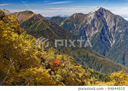 位於菲尼克斯山和地藏山的賽伊河沿岸的樺木樺樹和小松岳 位於菲尼克斯山和地藏山的賽伊河沿岸的樺木樺樹和小松岳 64644810