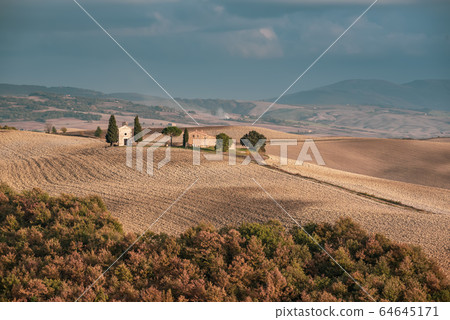 Wavy fields in Tuscany 64645171