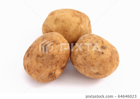 Potato (Nishiyutaka) 64646023