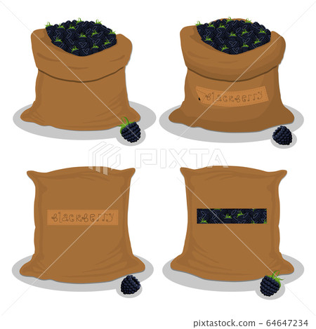 Sacks with natural food Sacks with natural food 64647234