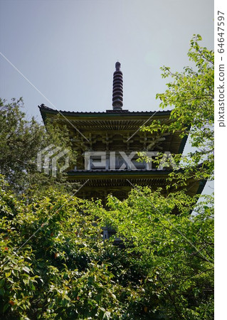 高知國分寺區(Takenouchi Souan,新蘭聖人的集散地) 高知國分寺區(Takenouchi Souan,新蘭聖人的集散地) 64647597