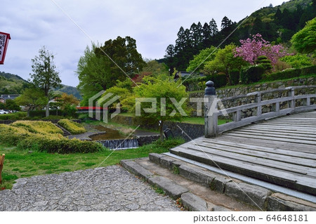 兵庫縣豐岡市的Izushi城堡遺址 兵庫縣豐岡市的Izushi城堡遺址 64648181