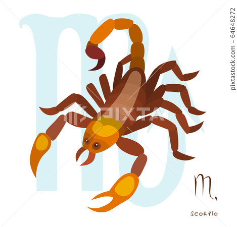 scorpio horoscope sign in twelve zodiac, graphic of wireframe scorpion scorpio horoscope sign in twelve zodiac, graphic of wireframe scorpion 64648272