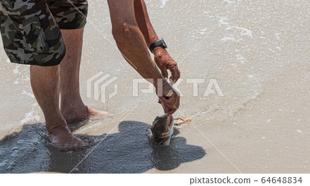 Removing hook from fishes mouth on the shore Removing hook from fishes mouth on the shore 64648834