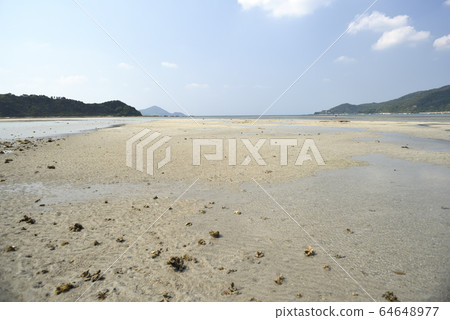 Sandy beach that appears at low tide (Amami Oshima) 64648977