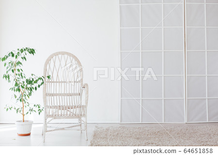 white chair with green home plant in the interior of the room white chair with green home plant in the interior of the room 64651858