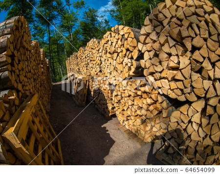 Large supply of stacked firewood 64654099