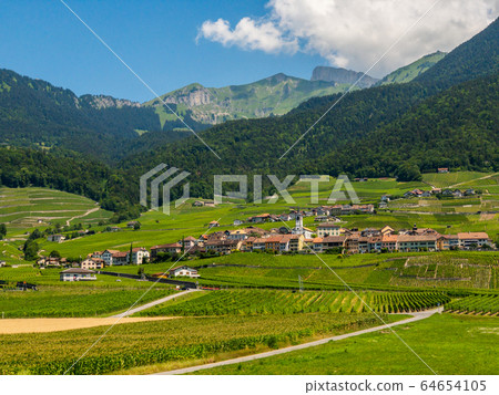 Summer Switzerland valley landscape with vineyards at foreground 64654105