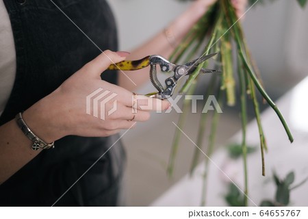 Close-up of woman florist hands cutting stem of flowers with scissors on white background. Close-up of woman florist hands cutting stem of flowers with scissors on white background. 64655767