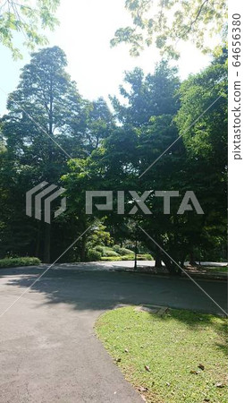 公園 公園 64656380