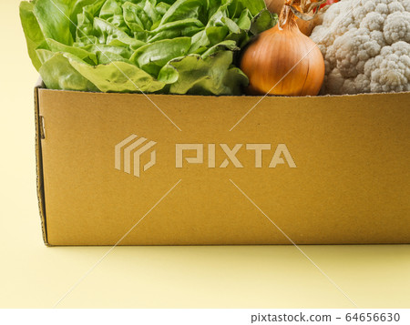 Food, produce delivery or donation box concept 64656630