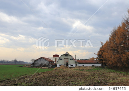 Scenery with farms in the Tokachi region of Hokkaido 64657653