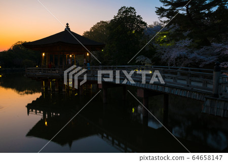 浮世堂和相城日落美景（奈良縣奈良市奈良公園） 64658147