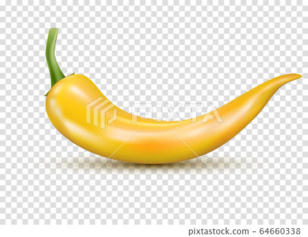 Fresh yellow hot chili pepper. Kitchen organic vector spicy taste chili mexican pepper Fresh yellow hot chili pepper. Kitchen organic vector spicy taste chili mexican pepper 64660338